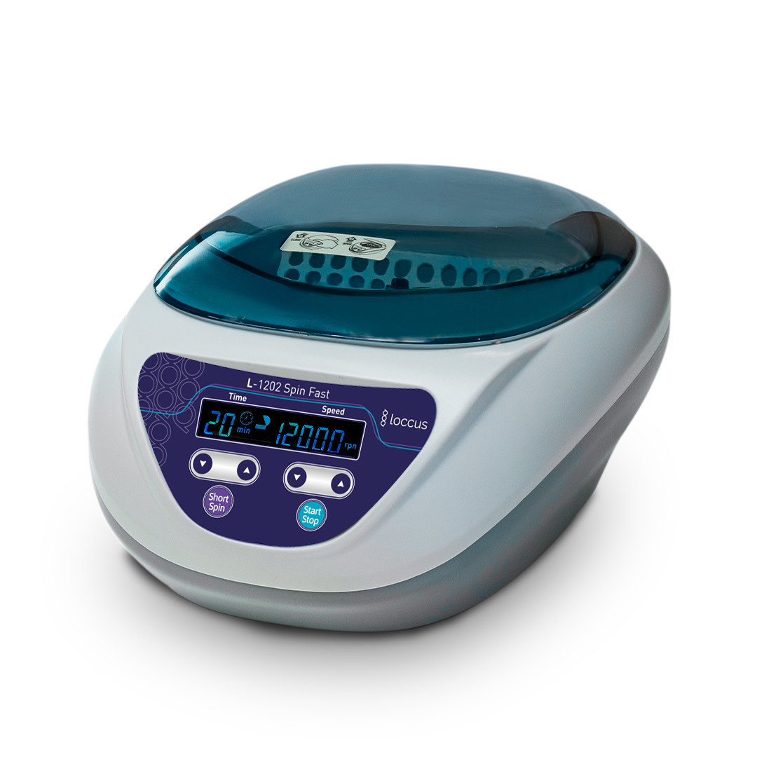 L1202-Spin-Fast