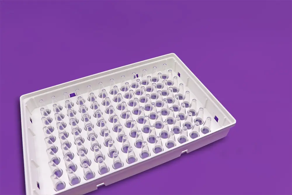 PCR01-b