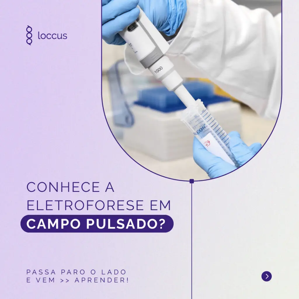 Loccus - Conhece a Eletrofores em campo pulsado?